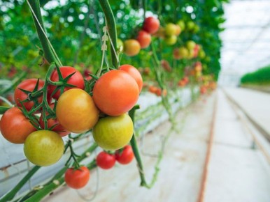 ������� ������, ��� ������� ���� ������ �������� � ������� ��� �����