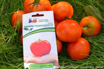 ����������� ������ ��� ��������� ������, ������� ����� �����������