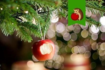 ��������� �����: ����� ������� ������ ����� 2025 ����?