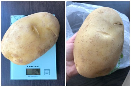 ������� �������� �� �����: �������� � ������� ��� ��������� ��������