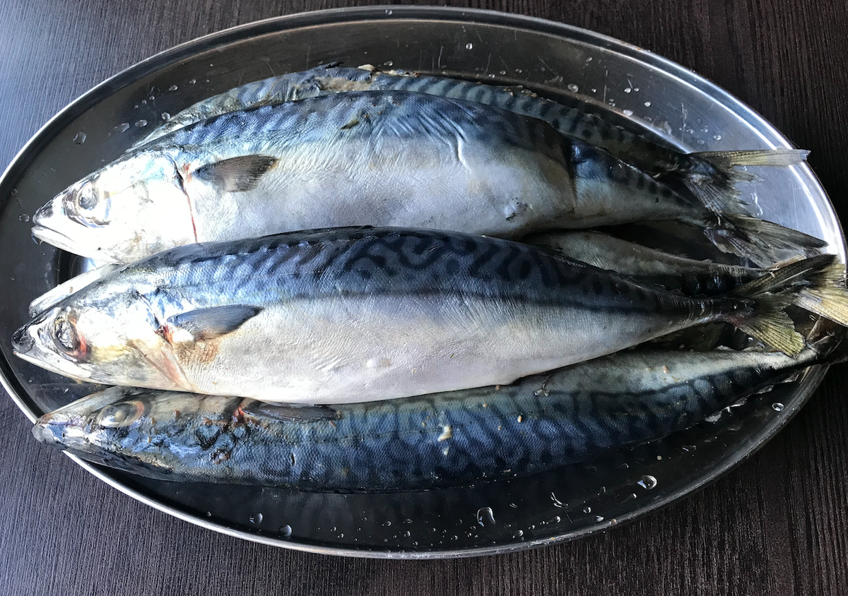 Простой и вкусный способ копчения скумбрии