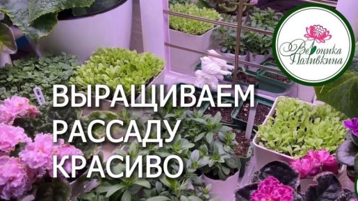 Эстетичное выращивание рассады: простые решения для вашего дома