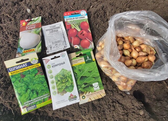 Весенние посадки в теплице: что высаживать в конце марта