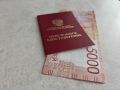 Средний размер пенсии госслужащих в России: факты и цифры