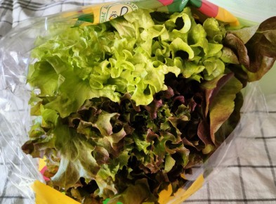 Как сохранить зелень свежей на долгое время