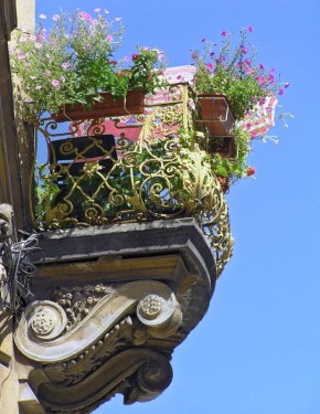 Как создать цветущий оазис на балконе