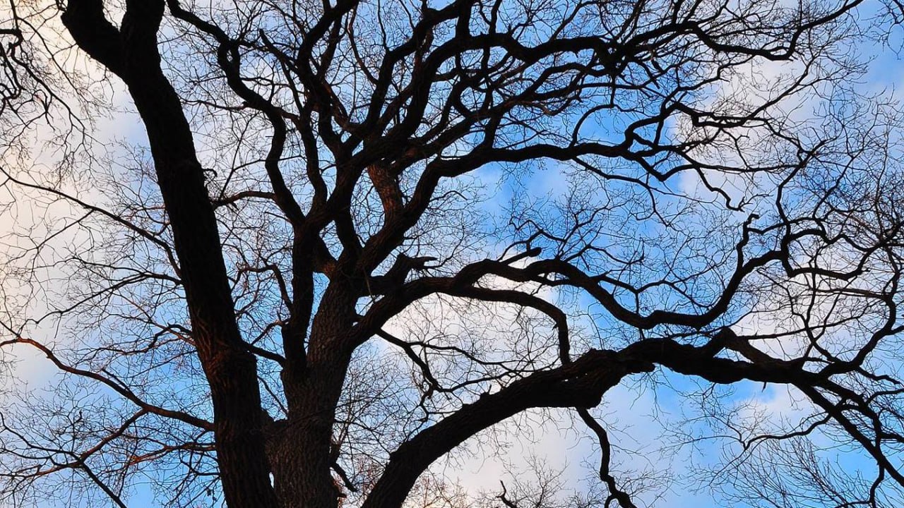 Прогноз погоды на воскресенье от синоптиков Рязанского ЦГМС