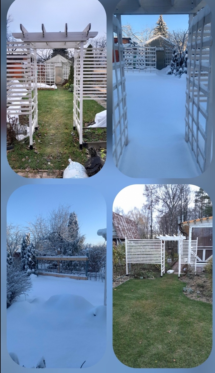 Создание идеального кофейного уголка в вашем саду