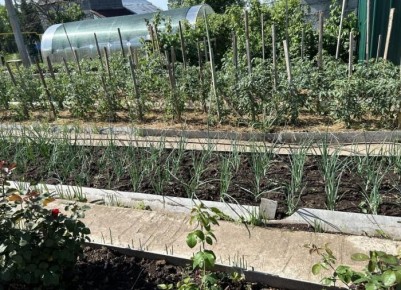 ������ ���������� ����: 7 �������� ������� ��� �������� ��������