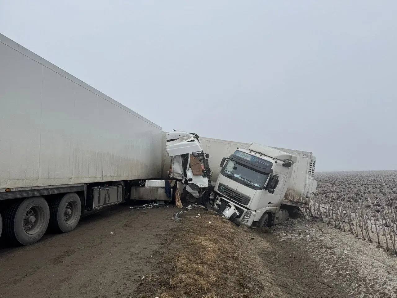 За прошедшие пятницу и выходные дни на дорогах Рязанской области зарегистрировано 2 ДТП, в результате которых 3 человек получили травмы различной степени тяжести