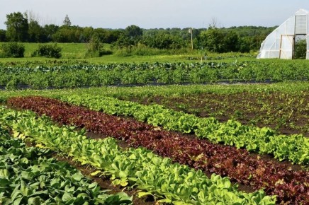 ����� ������ ���������� �����: ������� ��������� ���������