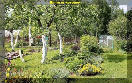 ��� ��� ����������: ��� ������� ����������� ������� � ������