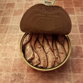 ������� ������� �� 15 �����: ������, ����� � �����