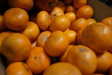 ������ ��������� ��������, � ������ ��������: ������ ����������