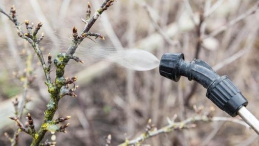 ��� ����������� ��� � ����: �������� ������ �� ������� ���������