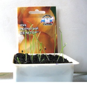 ��� �������� ����������� �����: ����������� ������� ��� ��������