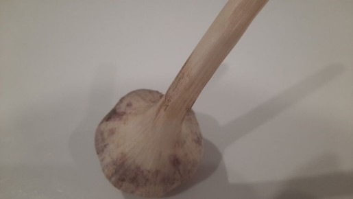 Чеснок под подушкой: секрет бабушки и борьба с бессонницей