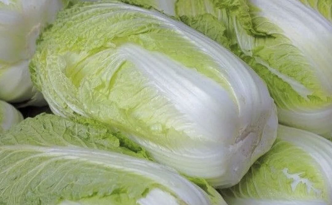 Как вырастить идеальную пекинскую капусту: советы для садоводов