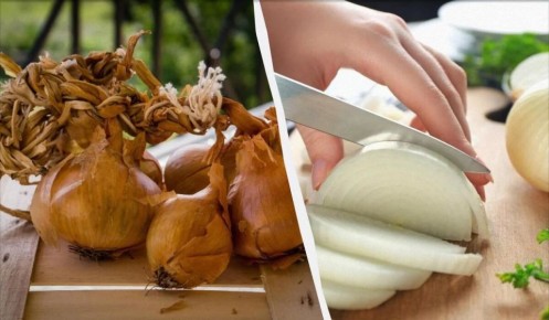 Правильное хранение лука: советы для оптимального результата