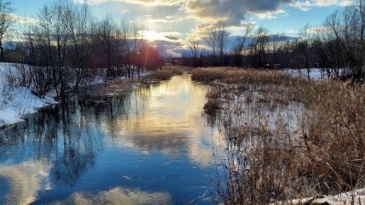 Совсем тепло! Прогноз погоды на воскресенье от синоптиков Рязанского ЦГМС