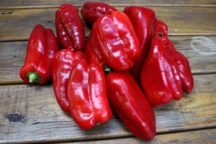 Перец Паприка сладкая Венгерская реликвия: ранние урожаи для вашего стола