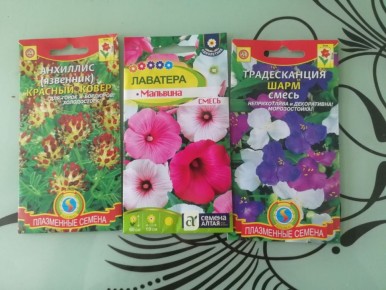 Как необычные семена могут преобразить ваш сад?