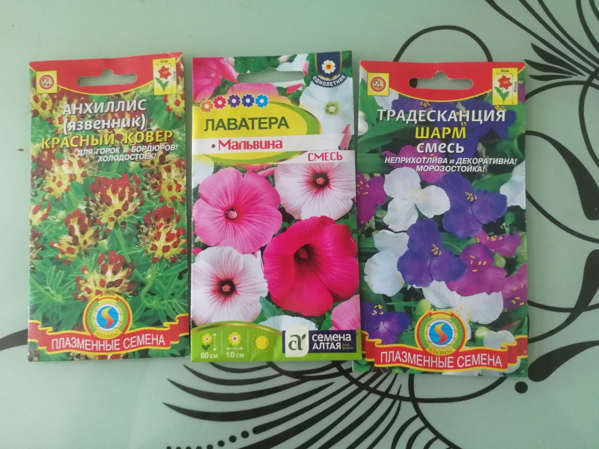 Как необычные семена могут преобразить ваш сад?