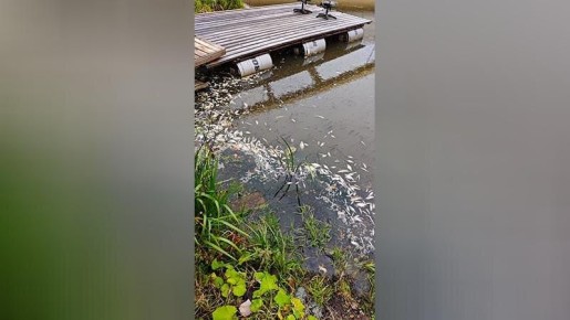 ���������� �������: ���� �������� ������ ����� ��-�� ������ ������� ���