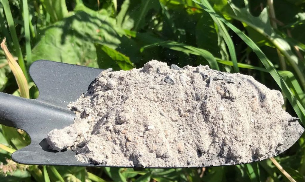 Как выбрать лучшее удобрение: компост, зола или биогумус