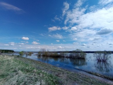 ������� ������ �� ����������� �� ���������� ���������� ����