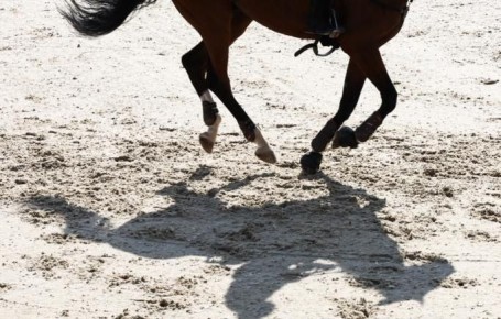 ������ ���������� ������� �������� ����������� ������ � �����