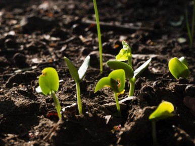 ������� ������ ����������: ��� ������ ������ ��� ��� �� ��������