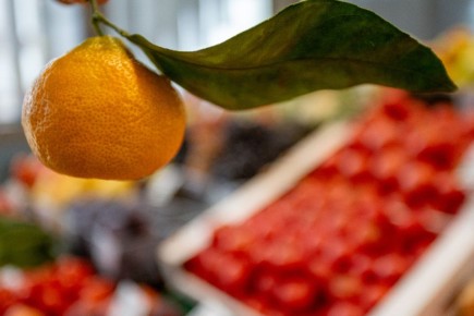 �������� �������� ��������� ������ � ����� ����� ��������