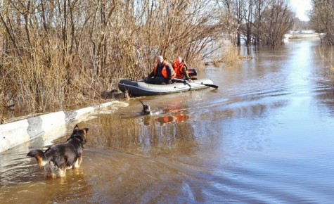 Прогноз погоды на вторник от синоптиков Рязанского ЦГМС