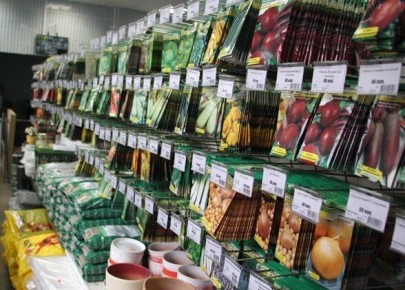 ��� ������� ������ ��� ��������� ������: 5 ������� ������