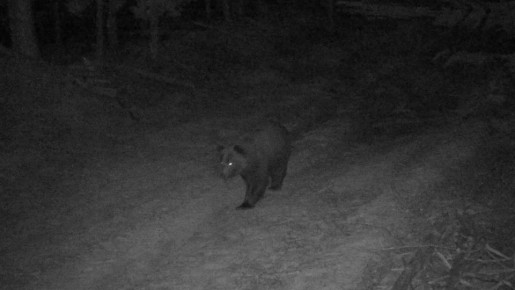 ����������� ������� ����������� ������������� ������������� �������