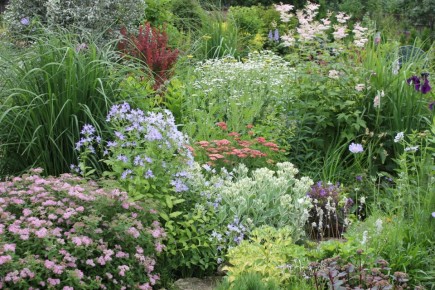 ������� ������� �� �������������: ��� ������� ��������� ����������