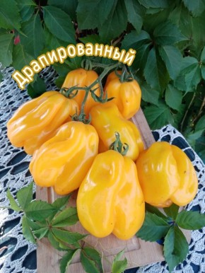 ��������� ������ ��� ����������: ����������� � ������ '�������������'