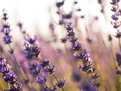 ����� � ����: �� �������� � �����������