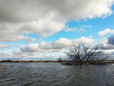 ������� ������ �� ������� �� ���������� ���������� ����