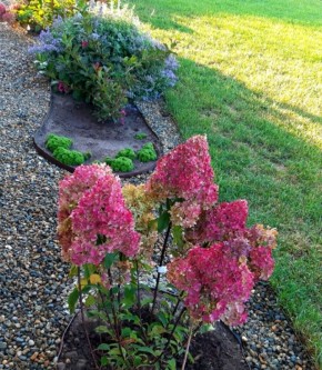 ����� � ��� �������� ������� ���������