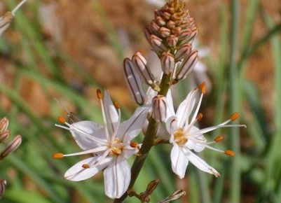 ��������� ��������: �������� ������ ����