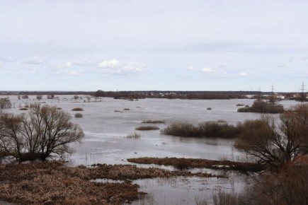 ������� ������ �� ������� �� ���������� ���������� ����