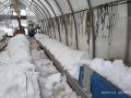 Снег в теплице: как воспользоваться его преимуществами и избежать проблем