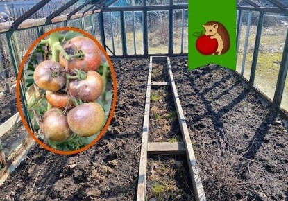 ��� �������� ��������� �� �������: ����������� ���� ������� ���������� �������