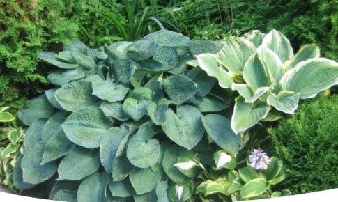 ������������ � ������� �����: ������� ������� � �����