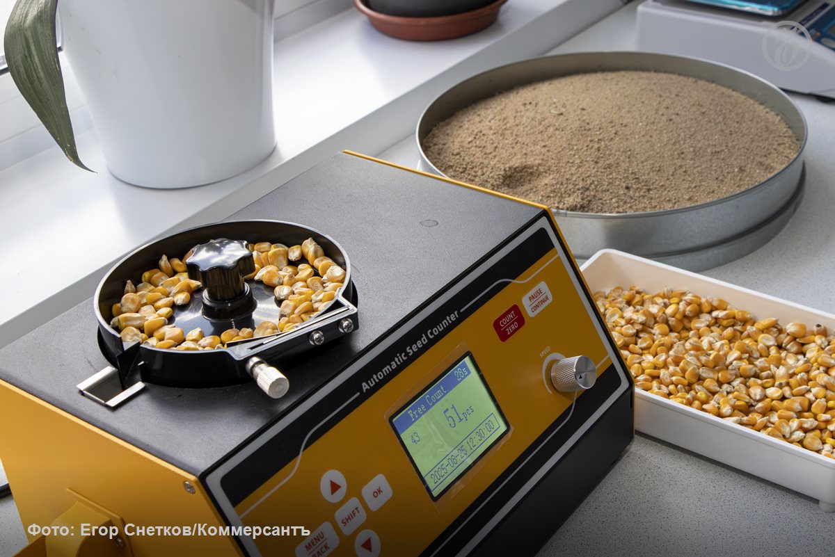 Будет не аминакисло: под Воронежем хотят построить завод по переработке зерна кукурузы за 110,4 млрд рублей