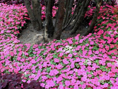 �������� ������������ �����: ��� �������� ��� � �������� ���� �� ���������