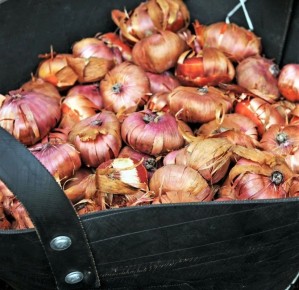 �������� ����� �� ������������ � ������� ������