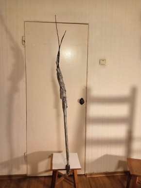 ������ ������ ��������: ������� ���������